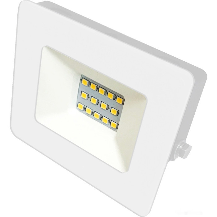 Уличный прожектор LFL-1001 C01, фото 1