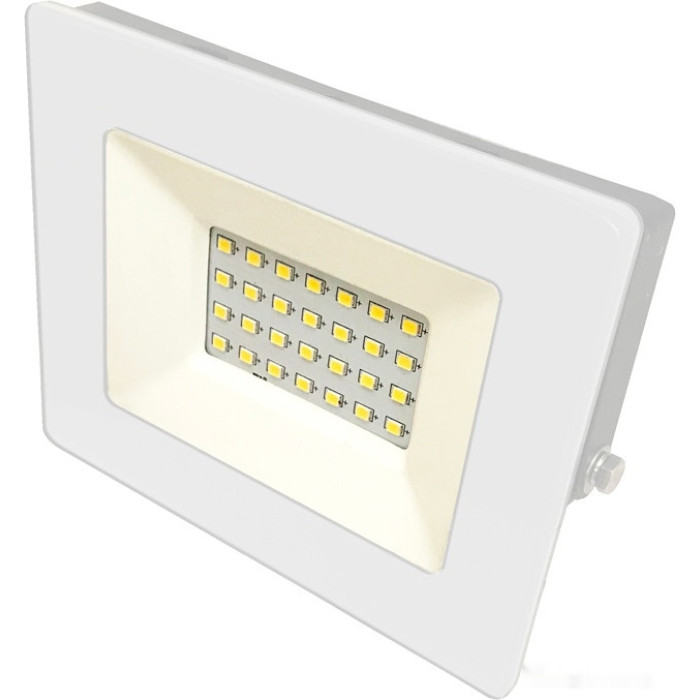 Уличный прожектор LFL-2001 C01, фото 1