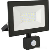 Уличный прожектор LFL-2002S C02, фото 1