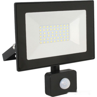 Уличный прожектор LFL-3002S C02, фото 1