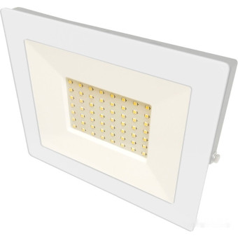 Уличный прожектор LFL-5001 C01, фото 1