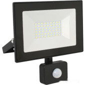 Уличный прожектор LFL-5002S C02, фото 1