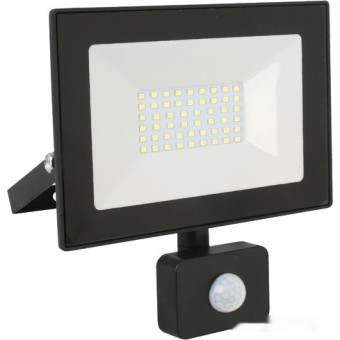 Уличный прожектор LFL-5002S C02, фото 1