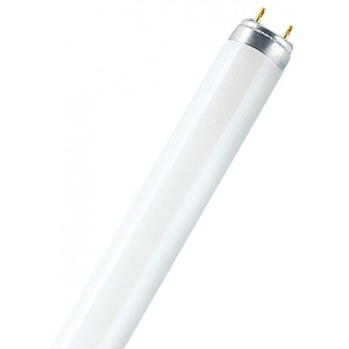 Лампочка L 36W/840 25X1 OSRAM, фото 1