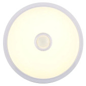 Светильник 61 184 OBL-R1-10-4K-WH-IP40-LED-SNR, фото 3