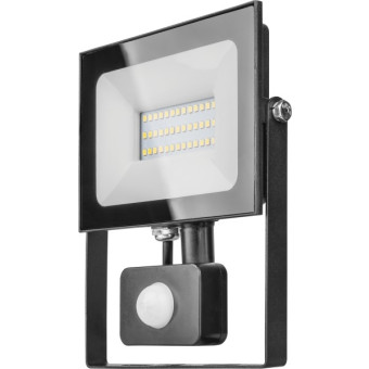 Прожектор OFL-02-30-4K-BL-IP65-LED-SNRA, фото 1