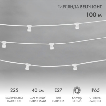 Гирлянда белт-лайт Belt Light 331-252, фото 1