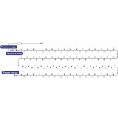 Гирлянда LED - шарики 17.5 мм [303-509-6], фото 2