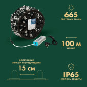 Гирлянда клип-лайт LED ClipLight Flashing 15 см [325-145], фото 3
