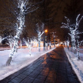 Гирлянда клип-лайт Гирлянда «LED Клип-лайт» 325-155, фото 7