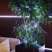 Гирлянда Гирлянда «Кластер LED» 303-625, фото 10
