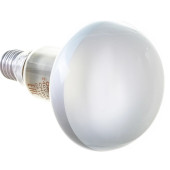 Лампочка CONC R50 SP 40W 240V E14 25X1 RU OSRAM, фото 3